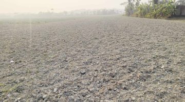 আমতলীতে আগাছা নাশক ছিটিয়ে সড়িষা ক্ষেত নষ্ট ক্ষতির পরিমান লক্ষাধিক টাকা আমতলীতে আগাছা নাশক ছিটিয়ে সড়িষা ক্ষেত নষ্ট ক্ষতির পরিমান লক্ষাধিক টাকা