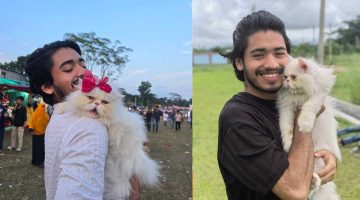 বাসা থেকে নিখোঁজ বিড়াল খুঁজে পেতে মালিকের মাইকিং, পুরস্কার ঘোষণা